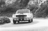 thumb.gt350.jpg