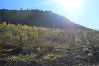 thumb.IMG_5697.JPG