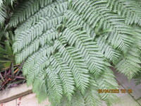 thumb.IMG_4107.JPG
